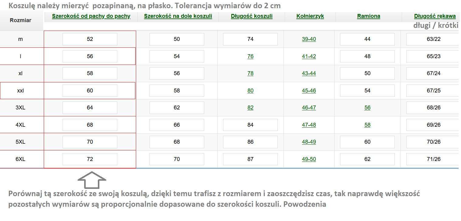 Szara koszula męska na stójce gładka 876